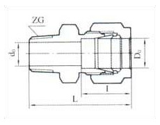 ZYG1-2 ֱͨKFܽ^DƬ